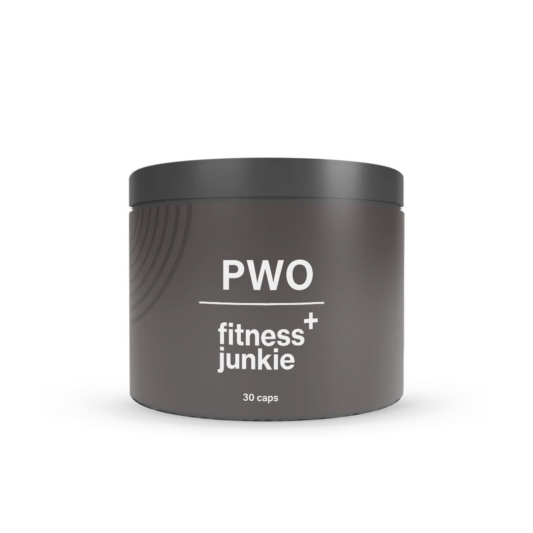 fitnessjunkie PWO 30 caps