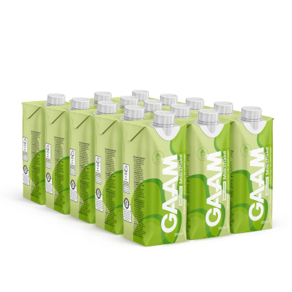 15 x GAAM Milkshake 250 ml