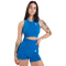 Gorilla Wear Olivia Seamless Crop Top Blue