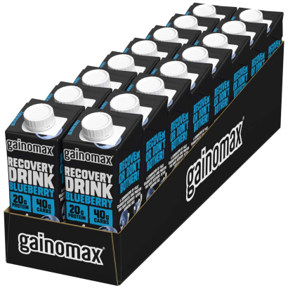 16 x Gainomax Recovery 250 ml